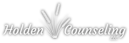 Holden Consulting logo